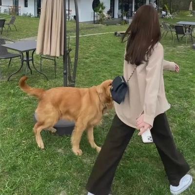 绝命急先锋